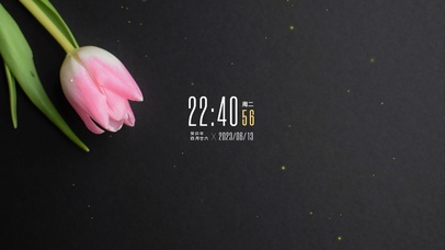 4k荧光清新郁金香桌面