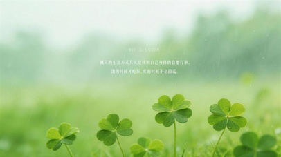 4k清新护眼壁纸