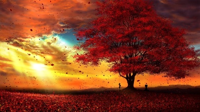 动态壁纸编辑器-枫叶飞舞