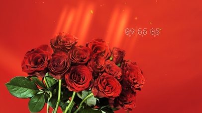 4k高清小清新玫瑰壁纸