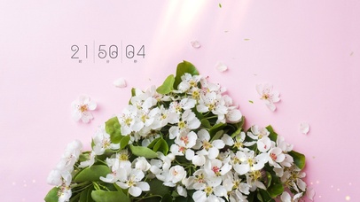 小清新简约电脑壁纸