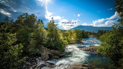 治愈森林小溪流水