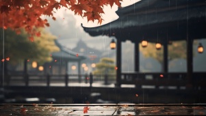 4K唯美古风枫叶听雨
