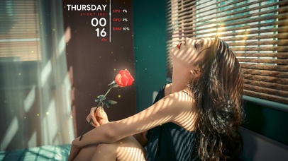 喜欢红玫瑰的初恋