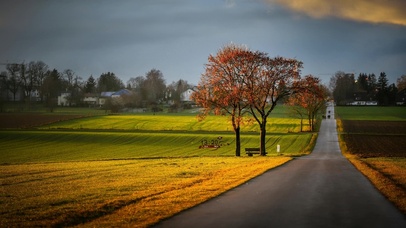 4k治愈村庄枫叶小路