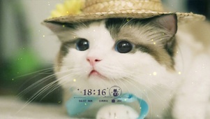 帽子猫咪