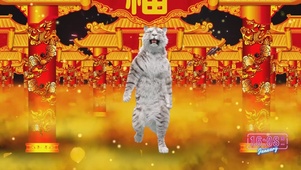 过年啦
