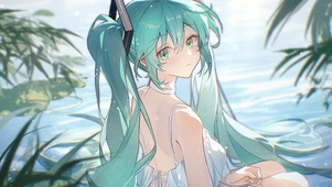 你的夏天