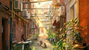老屋藏喵