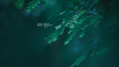 4K 治愈护眼雨天的绿叶