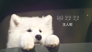 等主人