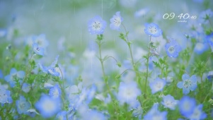 阴雨天·清新3
