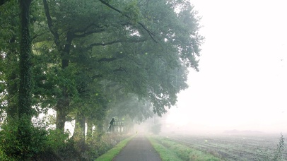 4k 治愈护眼雨天绿树田园小路