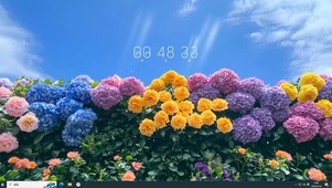 山茶花开