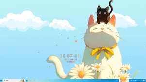 可爱猫咪雏菊