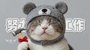 瞌睡打工猫