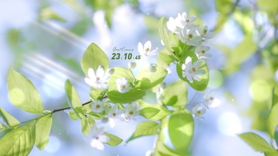 4K清新治愈绿色护眼花朵