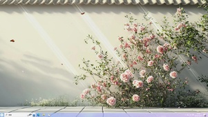 清新花卉壁纸-桌面主题