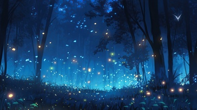 萤火虫的森林之夜