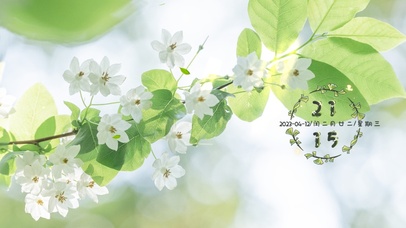 4k春天里的花花