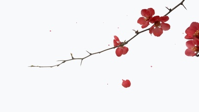 4k高清唯美国风