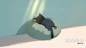 睡觉的猫咪