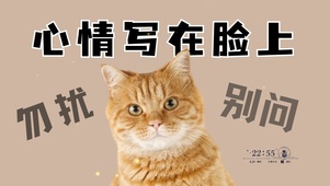 猫咪打工人桌面