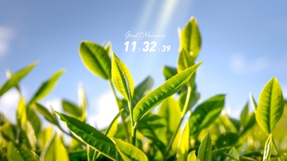 4k高清护眼阳光系列