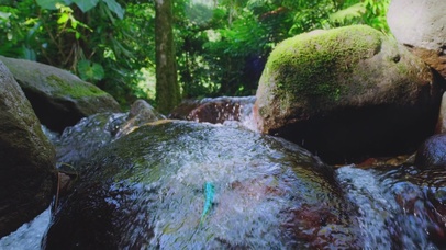 安逸的人都离世了