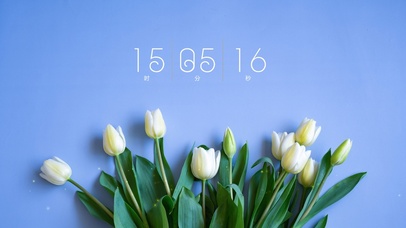 4k高级郁金香桌面