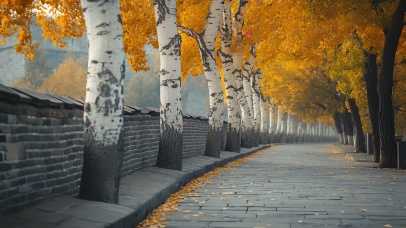 落叶纷飞的古墙小径