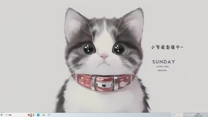 可爱卖萌猫咪