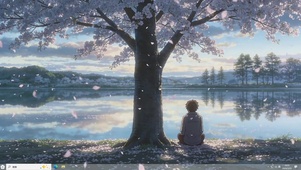 镜湖落花