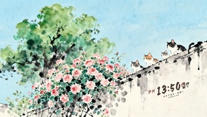 可爱的猫咪