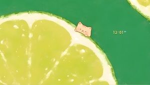 柠檬小猫