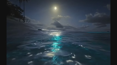 海之夜景