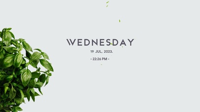 ins风绿植落叶桌面