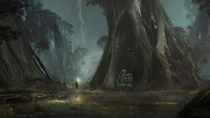 神秘森林