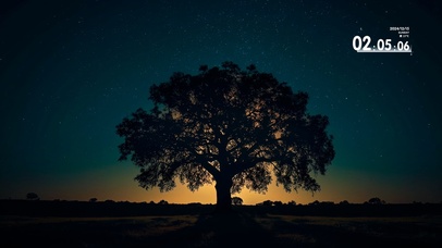 大树夜空星空流星治愈解压