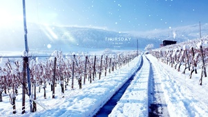 治愈唯美冬季雪路