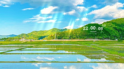 唯美治愈蓝天白云稻田