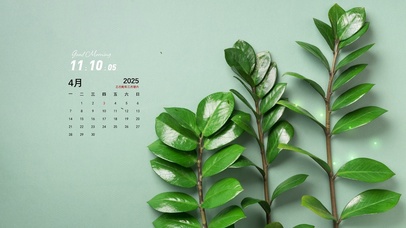 简约系绿植壁纸