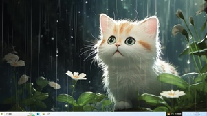 雨中猫咪
