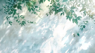 墙角的清新绿叶