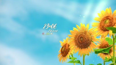 4K 向日葵夏季向阳花