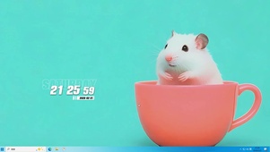 可爱萌宠桌面主题