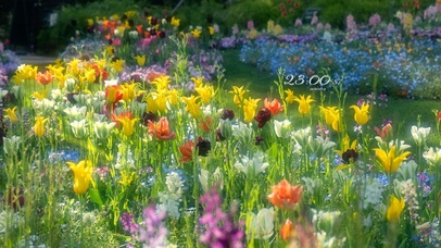 4K唯美小清新花儿