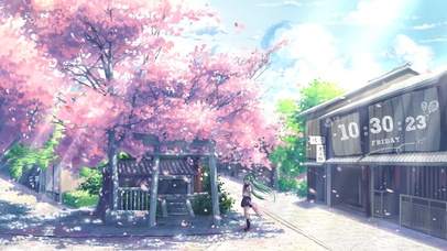 街道旁的樱花树