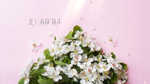 小清新简约电脑壁纸