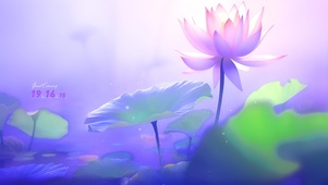 梦幻莲花.4K